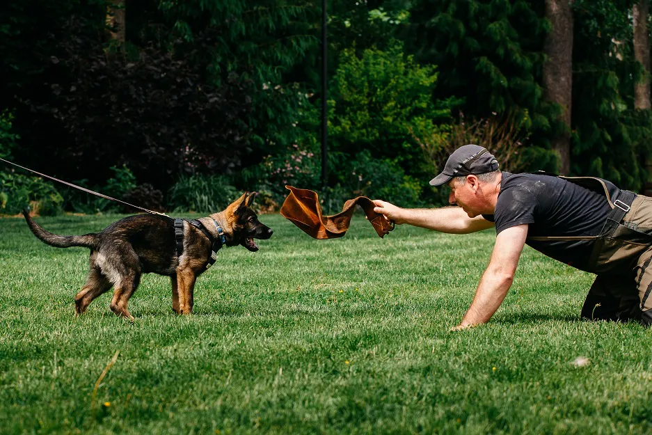 trening-obrona-z-psem.jpg