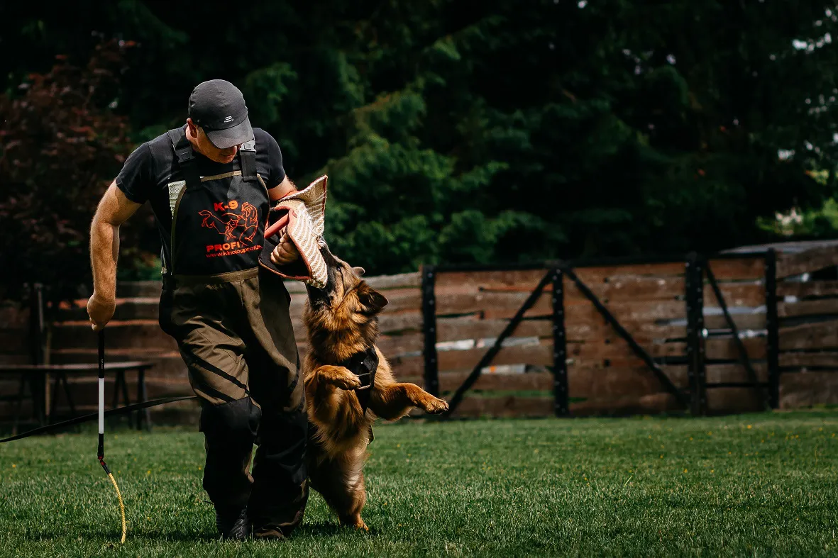 szkolenie-psow-bialystok (2).jpg