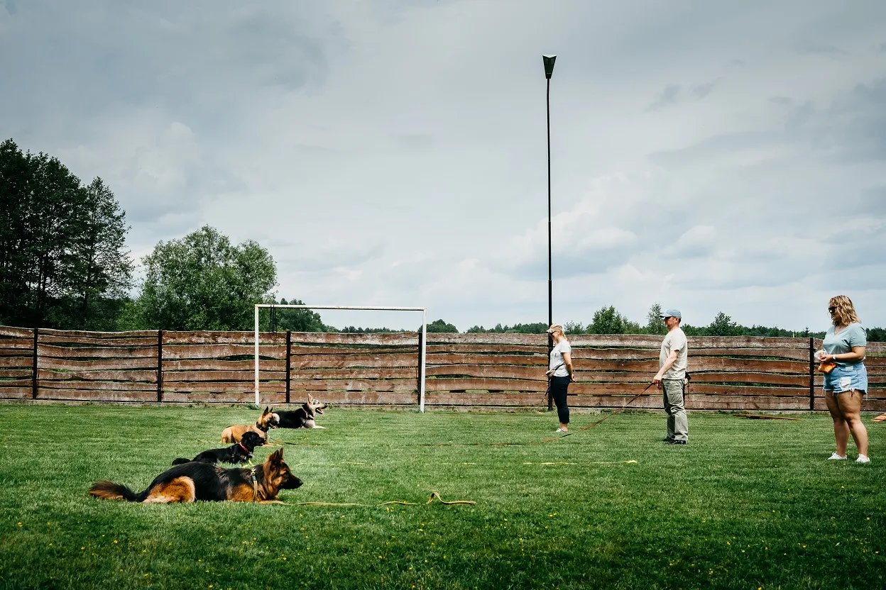 poslusznstwo-psa-szkolenie-bialystok.jpg