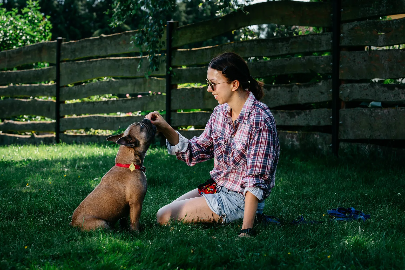 psie-przedszkole-bialystok (2).jpg