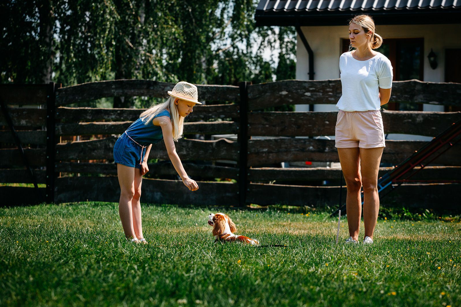 psie-przedszkole-bialystok.jpg